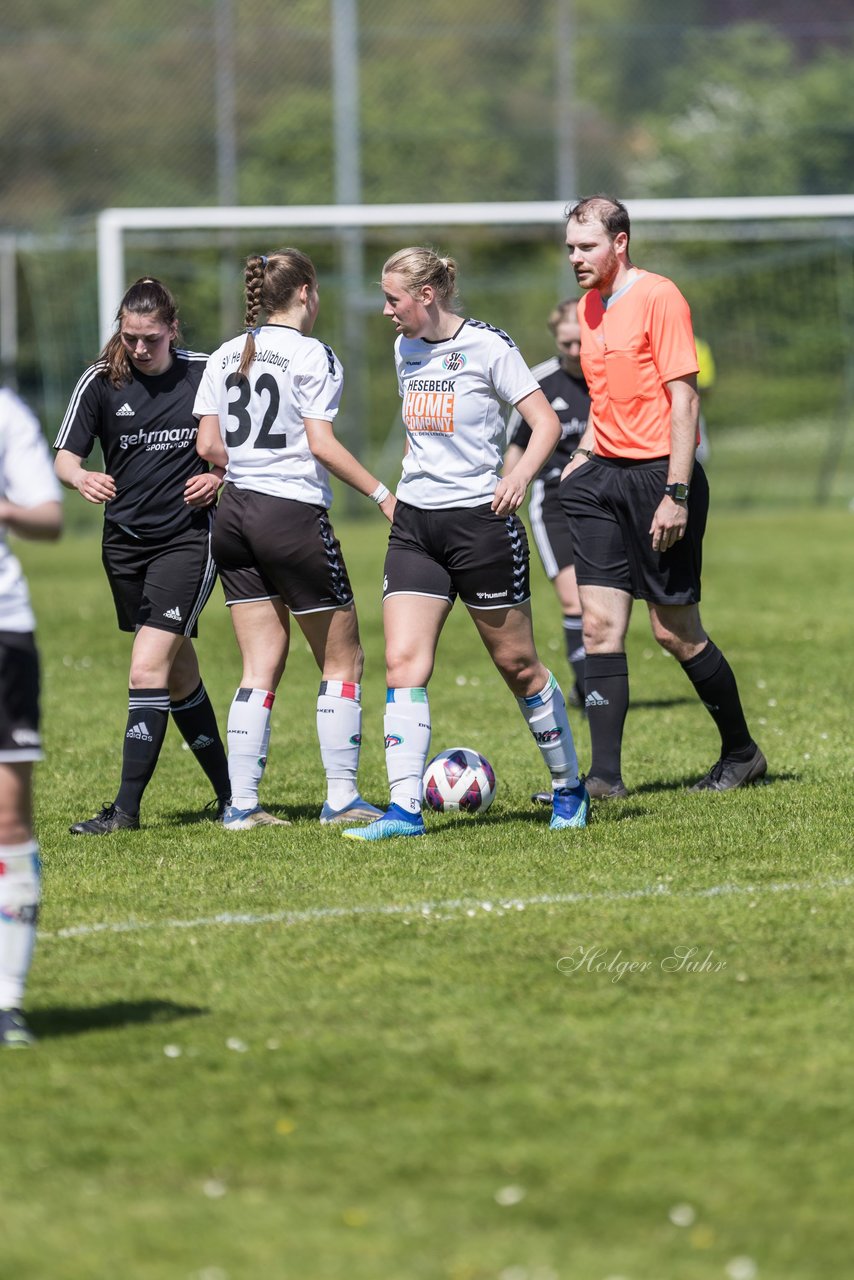 Bild 169 - F SV Henstedt Ulzburg - SV Fortuna Boesdorf : Ergebnis: 3:1